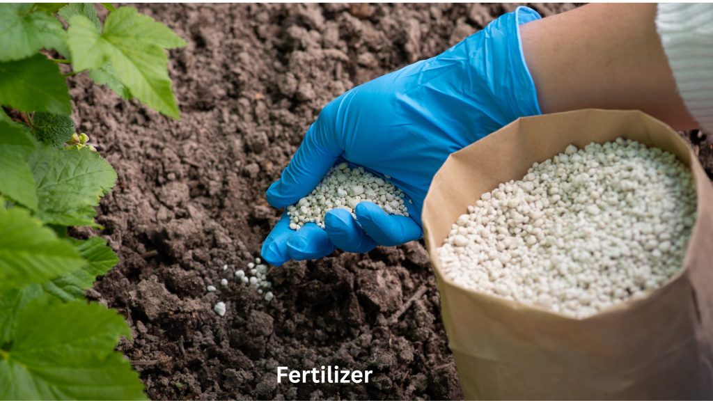 Feed & Fertilisers