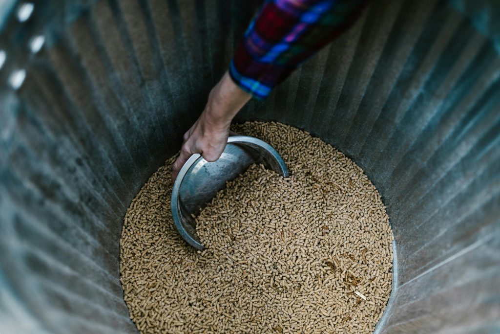 Animal Feed