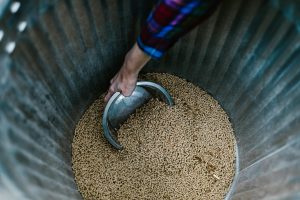 Animal Feed